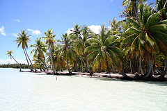 Tahiti vs. Fiji
