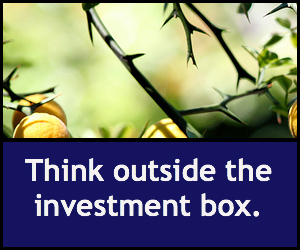 A Brief Guide to Alternative Investments