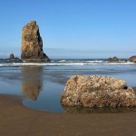 travel deals
