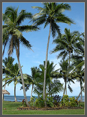 travel website